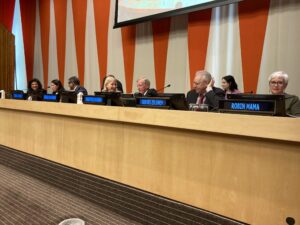 Speakers at Social Work Day at the UN on stage.