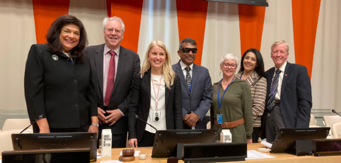 All speakers from social work day at the un lined up on the front stage of the event room.