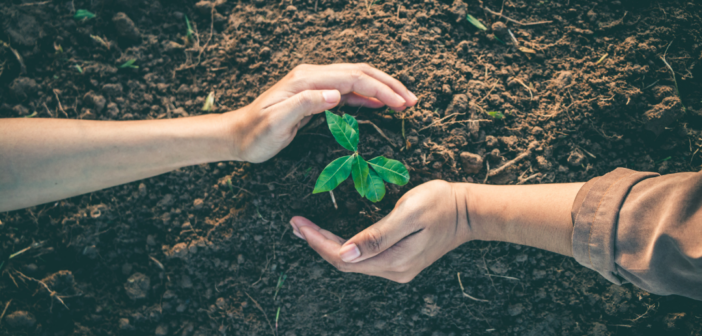 “You’re Giving Back to What You Were Given”: How One Fordham MSW Alumna Supports Future Social Workers